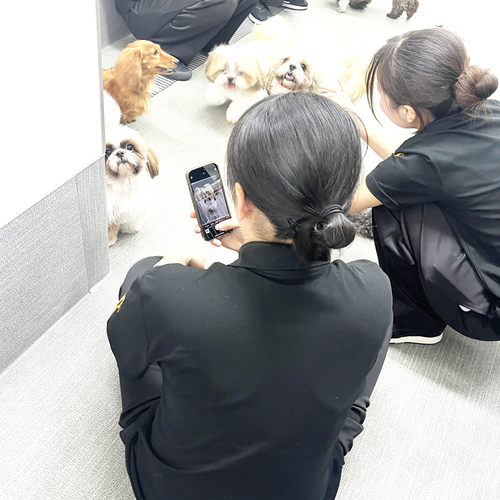 室内でＷａｎ活♪